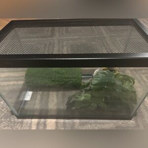 Black Mesh Top Terrarium